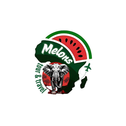 melonstoursandtravel.com